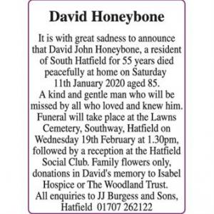 David Honeybone